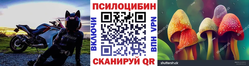 Псилоцибиновые грибы GOLDEN TEACHER  Абинск 